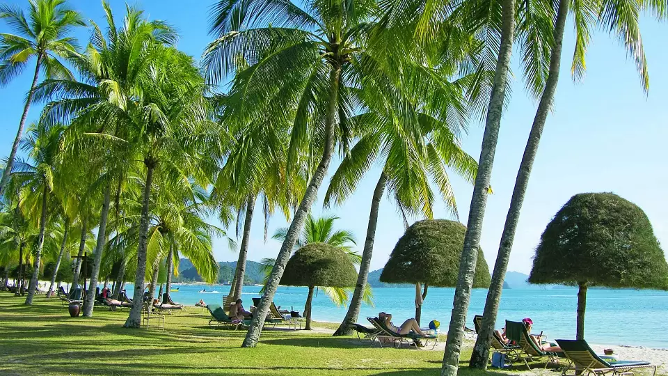 Скрытые сборы обнаружили российские туристы за границей