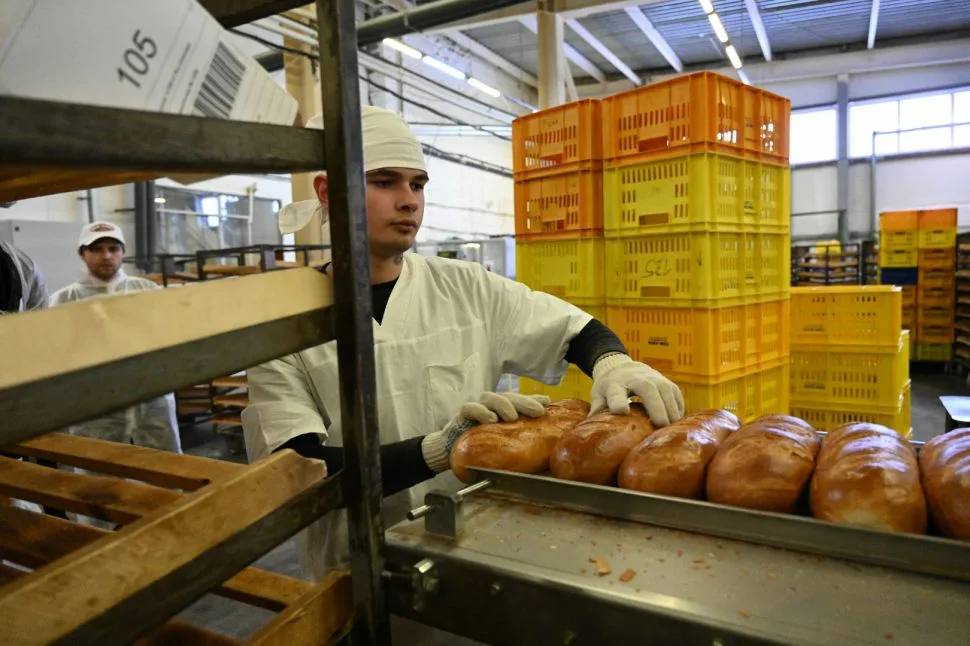 5,7 млн рублей за нелегальных мигрантов из Шри-Ланки и Узбекистана заплатит предприниматель