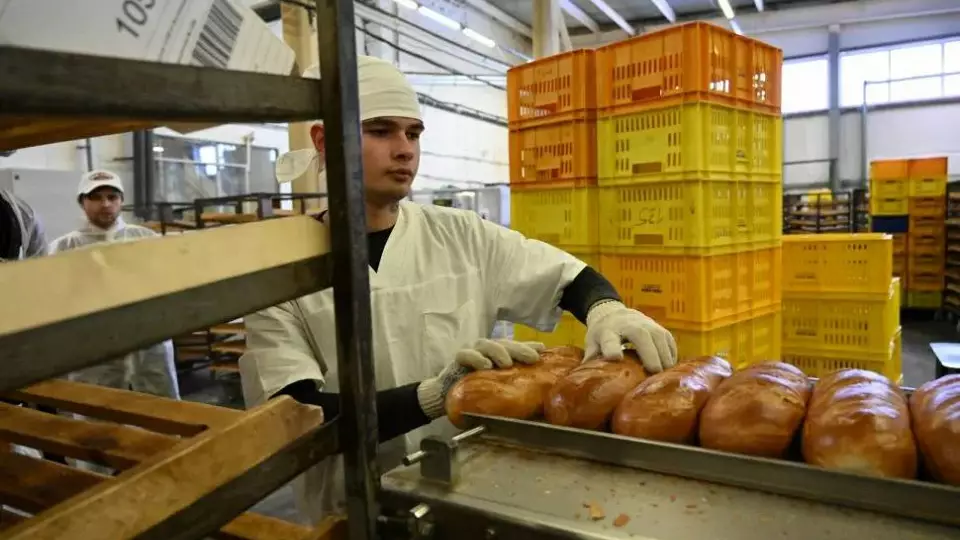 5,7 млн рублей за нелегальных мигрантов из Шри-Ланки и Узбекистана заплатит предприниматель