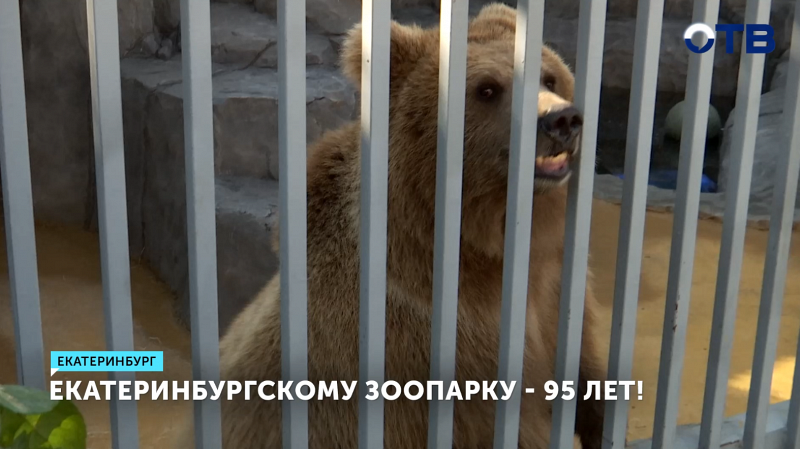 Екатеринбургский зоопарк отмечает 95-летний юбилей