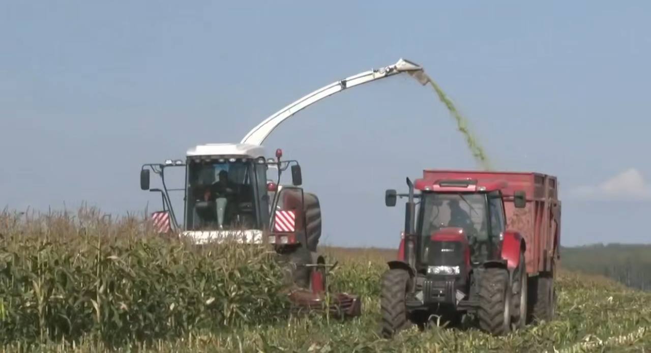 Уборка урожая в Свердловской области: засеяно 360 тыс. га