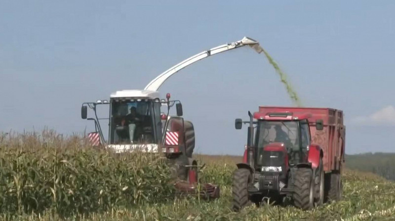 Уборка урожая в Свердловской области: засеяно 360 тыс. га