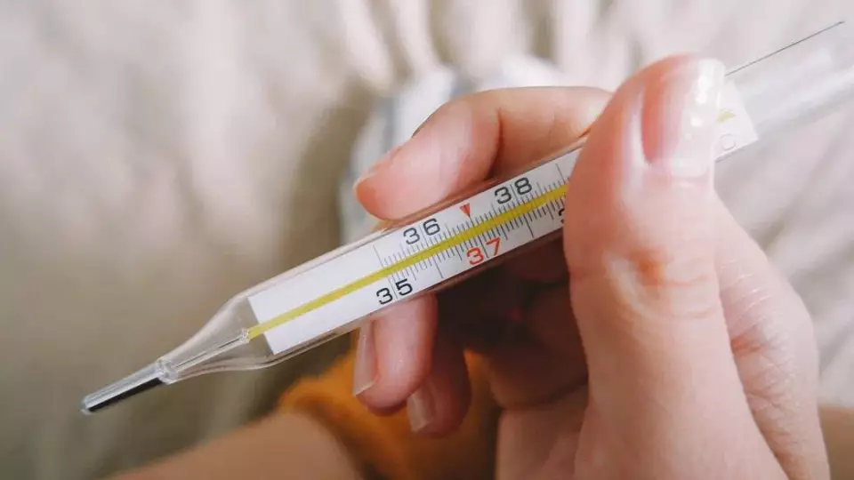 ОРВИ в регионе: карантин в 96 школах и 115 садиках