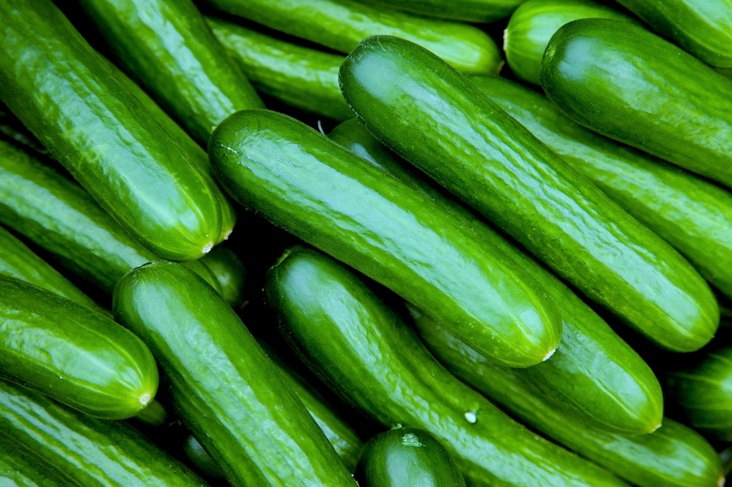 Сколько огурцов нужно есть в день: совет врача