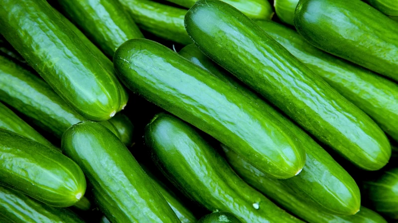Сколько огурцов нужно есть в день: совет врача