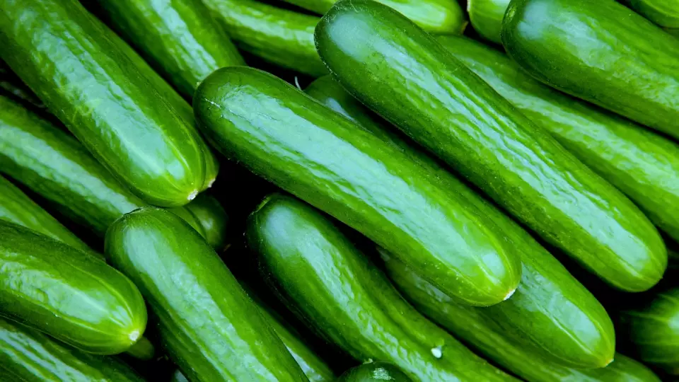 Сколько огурцов нужно есть в день: совет врача