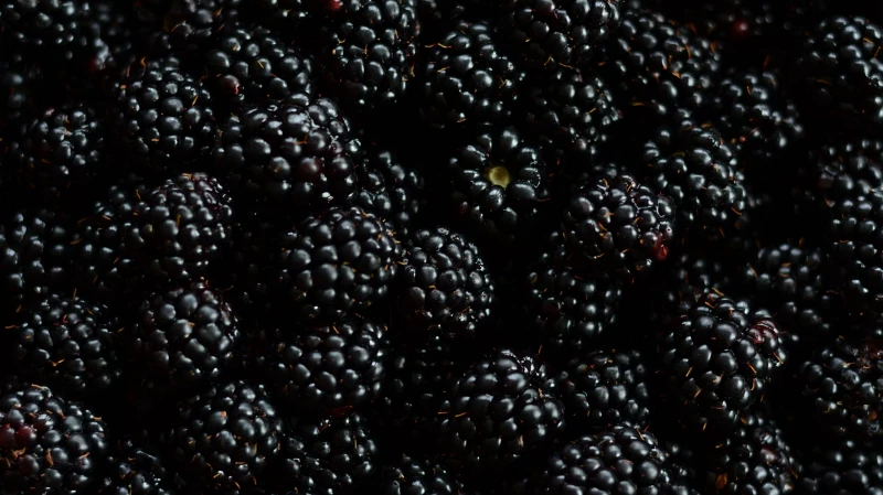 Ягоды темных оттенков укрепят иммунитет – эксперты