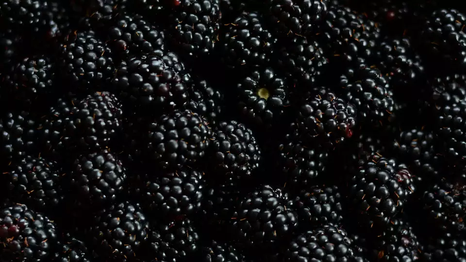 Ягоды темных оттенков укрепят иммунитет – эксперты