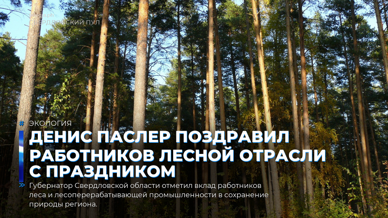 Денис Паслер поздравил работников лесной отрасли с праздником