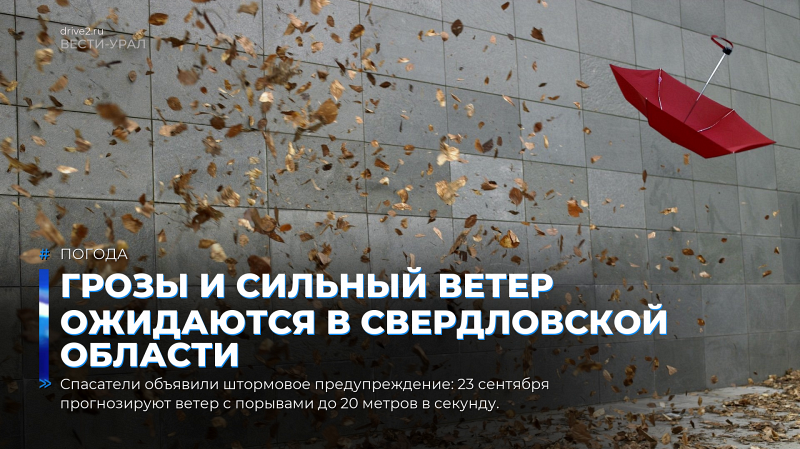 Грозы и сильный ветер ожидаются в Свердловской области