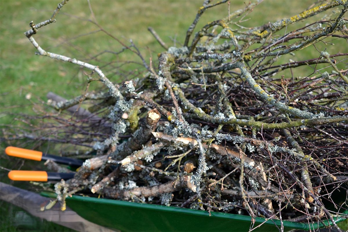 Напоминание дачникам: на участке нельзя сжигать пластик и старую мебель