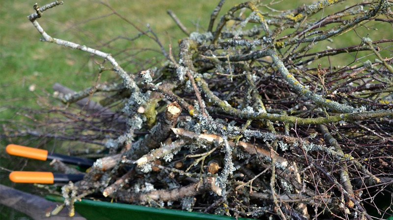 Напоминание дачникам: на участке нельзя сжигать пластик и старую мебель