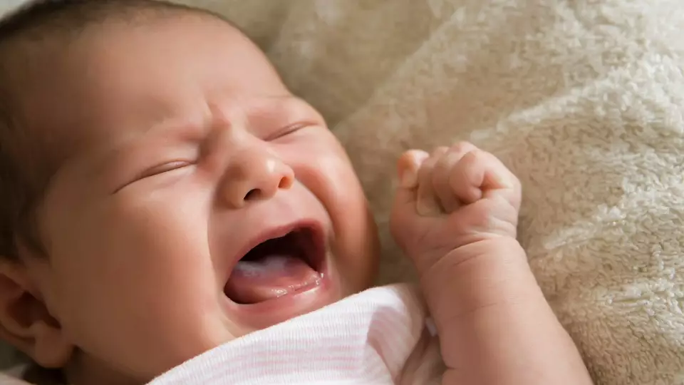 Юрист: плач новорожденного не считается нарушением тишины