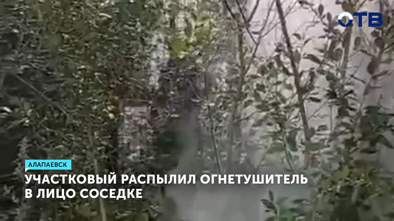 Участковый распылил огнетушитель в лицо соседке после ссоры из-за дикого винограда в Алапаевске