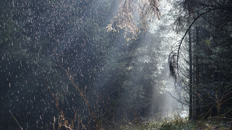 3 октября: народные традиции и приметы