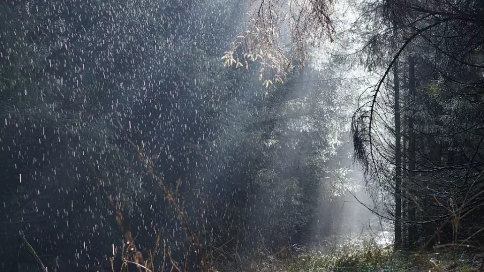 3 октября: народные традиции и приметы