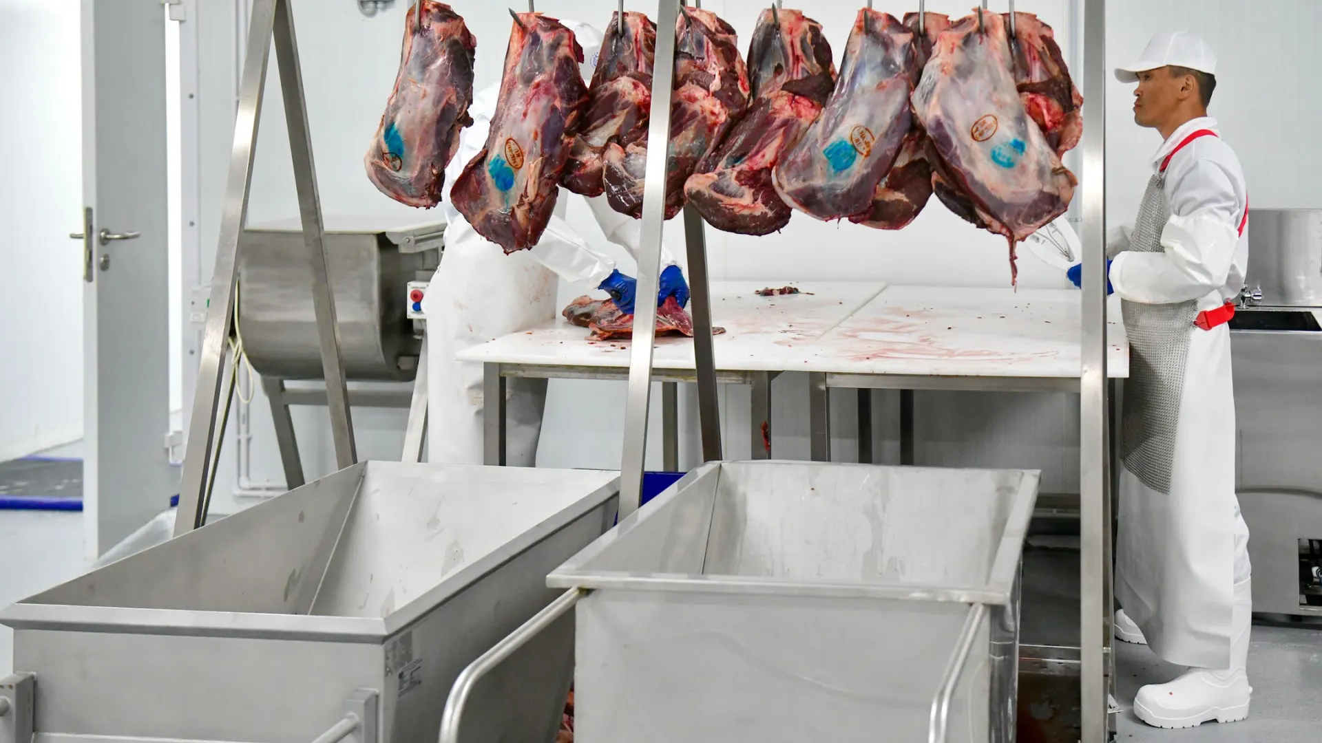 Более 120 тонн оленины заготовили на Ямале за первый месяц сезона