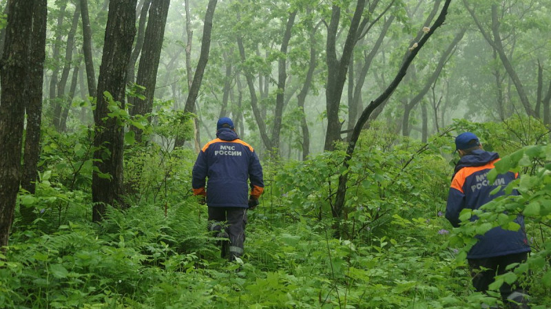 Сигнал телефона пропавшей семьи обнаружен в Красноярском крае