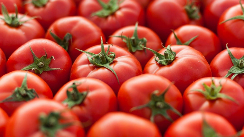 Помидоры в Свердловской области подскочили в цене на 20,7%