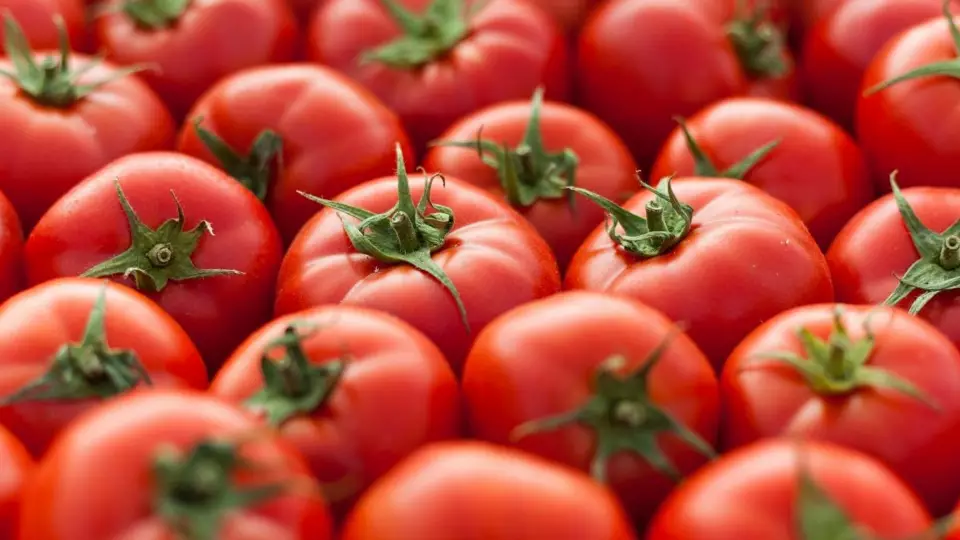 Помидоры в Свердловской области подскочили в цене на 20,7%