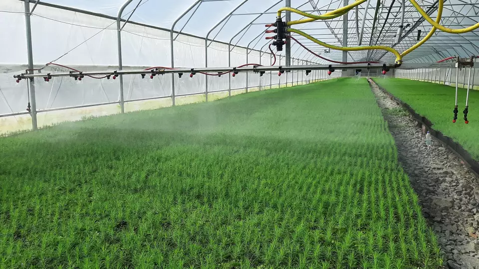 В Свердловской области восстановят 32 тысячи гектаров леса