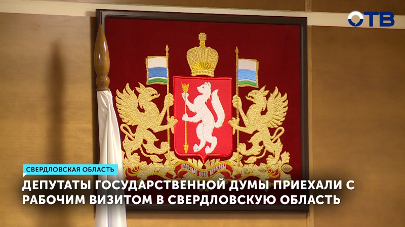 Депутаты Госдумы обсудили лекарственное обеспечение на Урале
