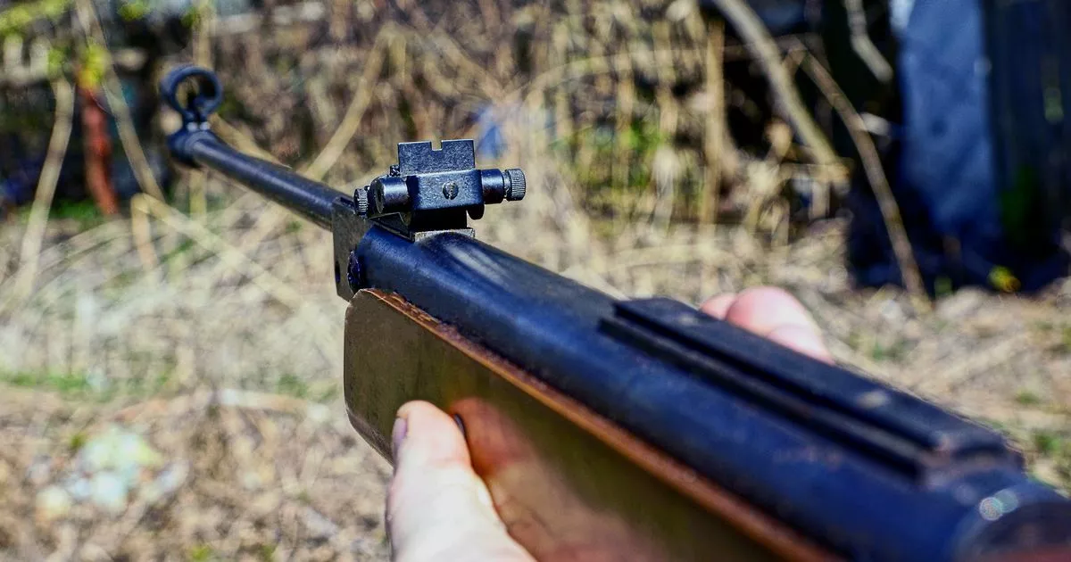 Мужчина расстрелял собаку из «винтовки длиной с человеческий рост»