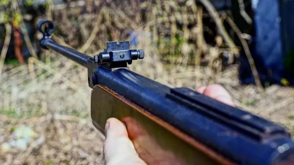 Мужчина расстрелял собаку из «винтовки длиной с человеческий рост»