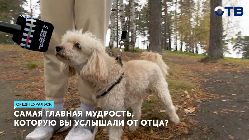 День отца: какие ценные уроки дали родители жителям Среднеуральска