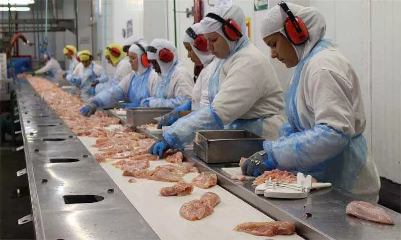 19-летний работник птицефабрики на Урале лишился руки в результате несчастного случая