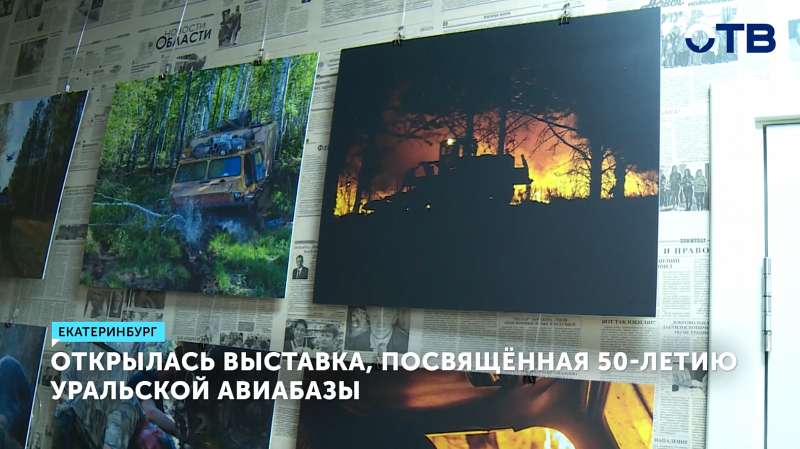 Выставка «На страже леса» открылась в Екатеринбурге