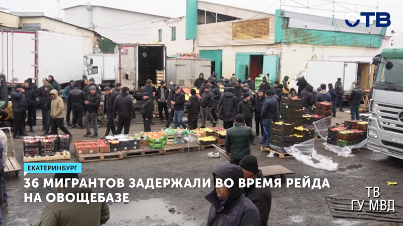 Скандальную овощебазу Екатеринбурга «зачистили» от нелегалов