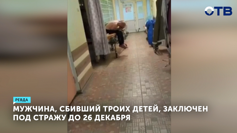 Водитель, сбивший насмерть двух детей в Ревде, заключен под стражу до 26 декабря