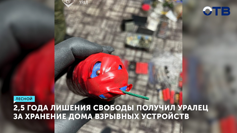 Уралец осужден за хранение арсенала взрывных устройств и боеприпасов
