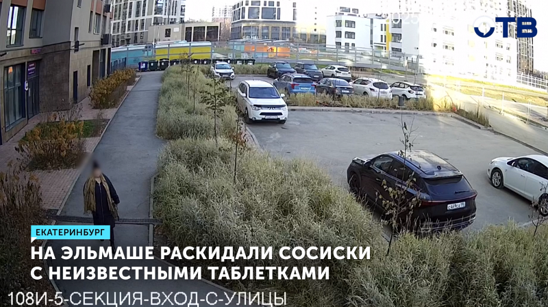 Собак отравили в ЖК Екатеринбурга: нашли сосиски с таблетками