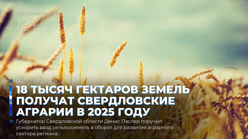 18 тысяч гектаров земель получат свердловские аграрии в 2025 году