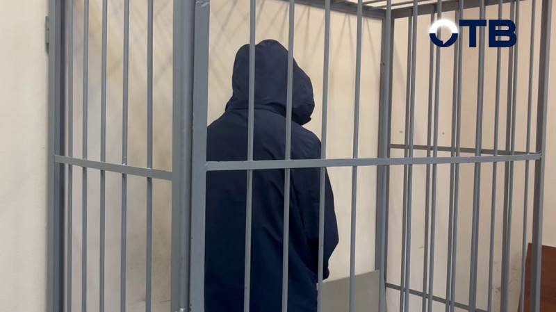 На 2 месяца под стражу отправили иностранца, обвиняемого в убийстве матери