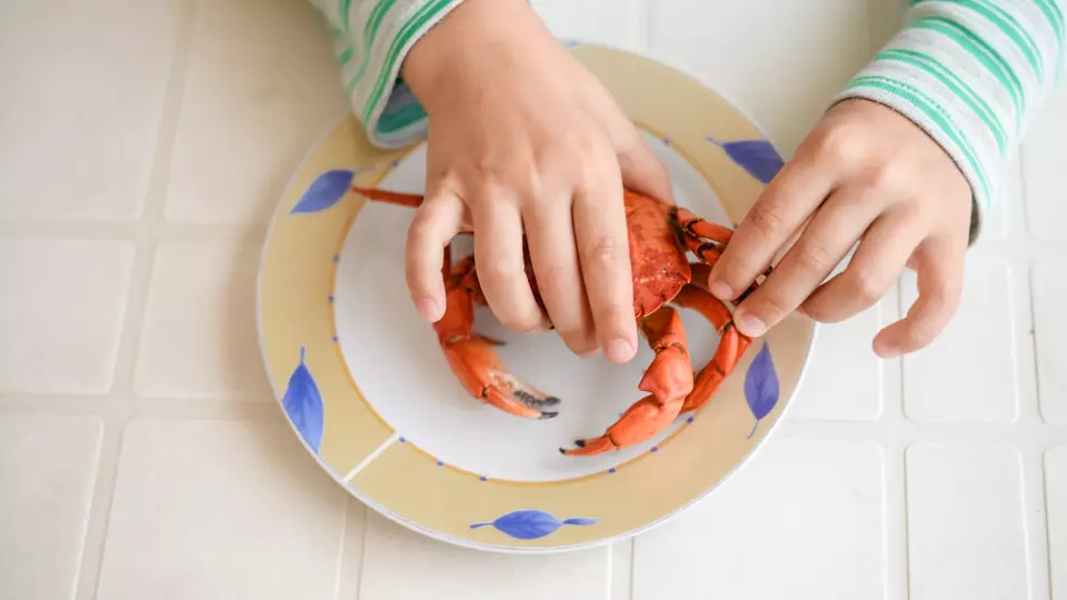 Педиатр рассказал, с какого возраста детям можно давать морепродукты