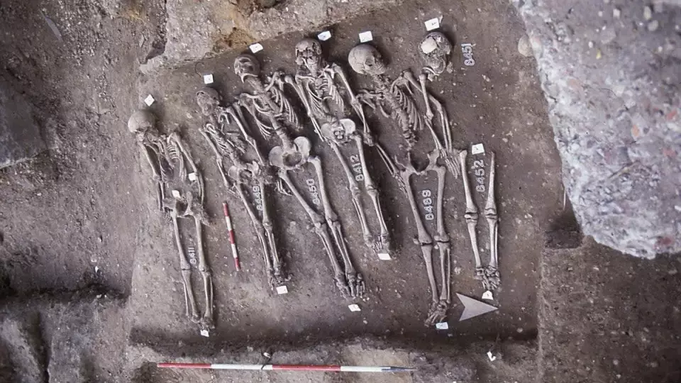 Ученые обнаружили следы древних эпидемий в ДНК людей бронзового века