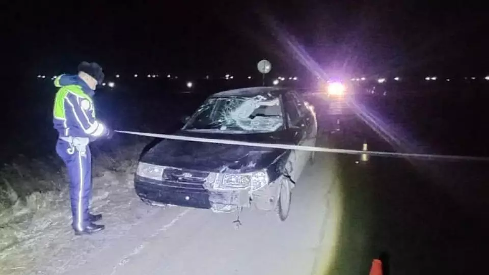 Один подросток умер, второй - в больнице: водитель сбил пешеходов в Ирбитском районе