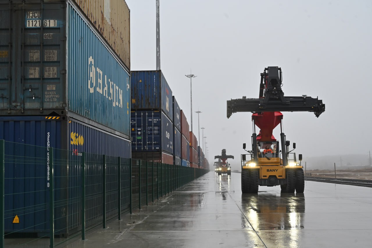 Құмырсқалар және пенис