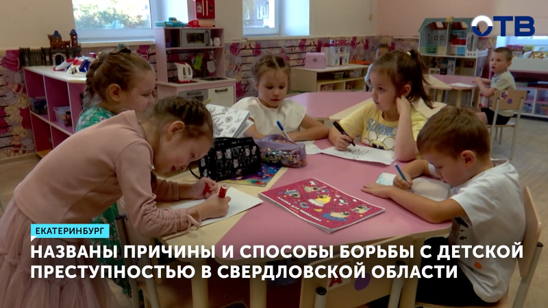 В Свердловской области названы причины и способы борьбы с детской преступностью