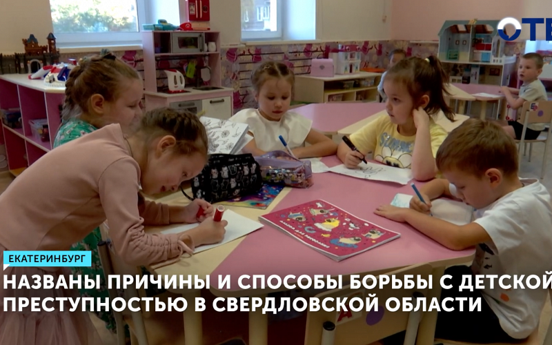 В Свердловской области названы причины и способы борьбы с детской преступностью
