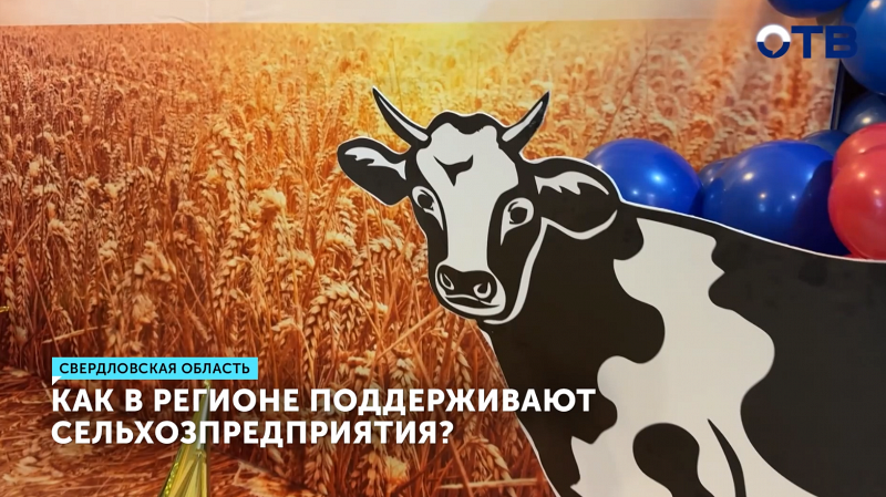 6 млрд рублей выделяют в Свердловской области на поддержку сельхозпредприятий
