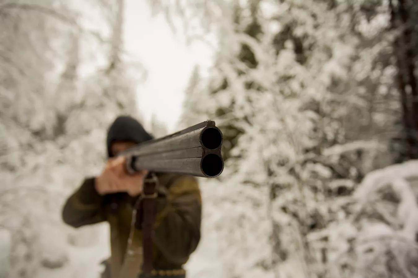 Целился в голову: мужчина получил условный срок за угрозы жене ружьем