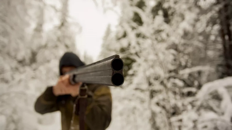 Целился в голову: мужчина получил условный срок за угрозы жене ружьем