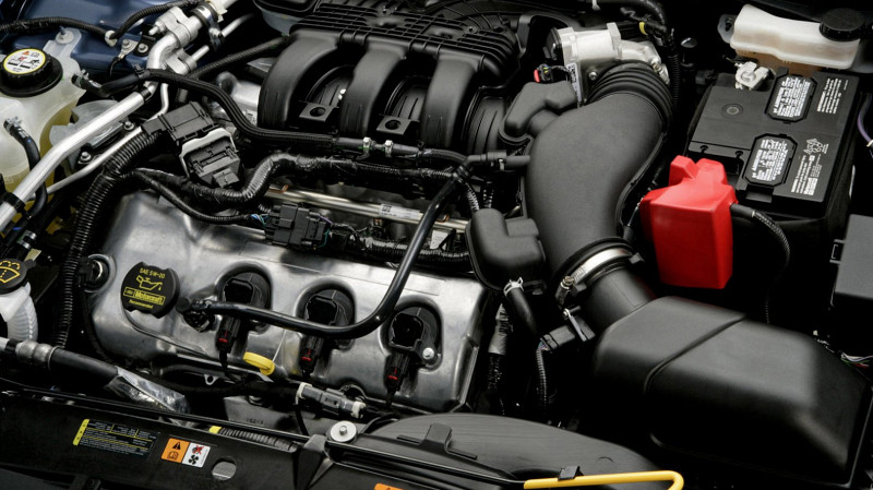 Крысы атакуют автомобили россиян в холода