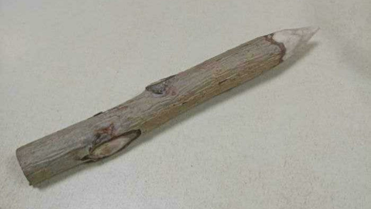 Судебные приставы изъяли у женщины осиновый кол на входе в суд