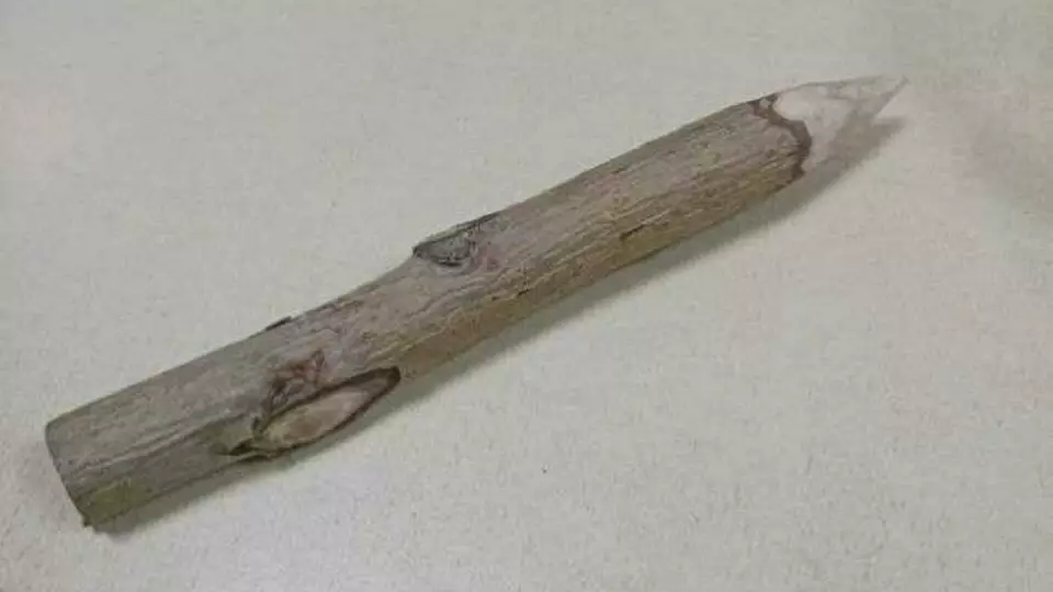 Судебные приставы изъяли у женщины осиновый кол на входе в суд