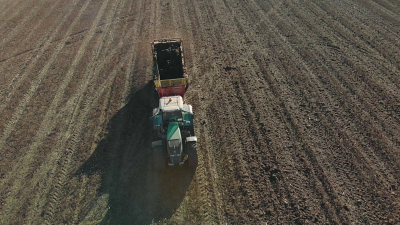 Аномально теплая погода угрожает урожаю в России в 2026 году